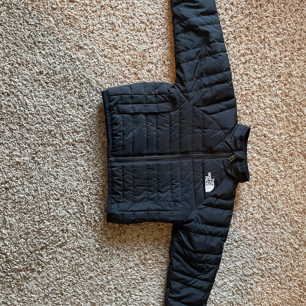 The North Face Black Quilted Puffer Coat with Insulated Design